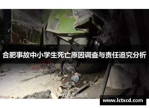 合肥事故中小学生死亡原因调查与责任追究分析